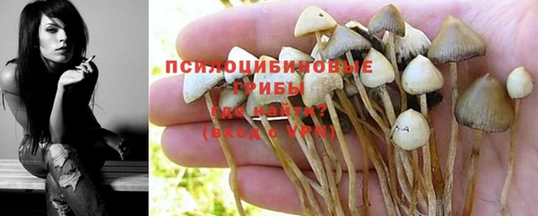 дмт Алексин