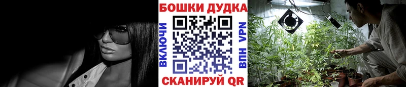 Бошки марихуана MAZAR  Лебедянь 
